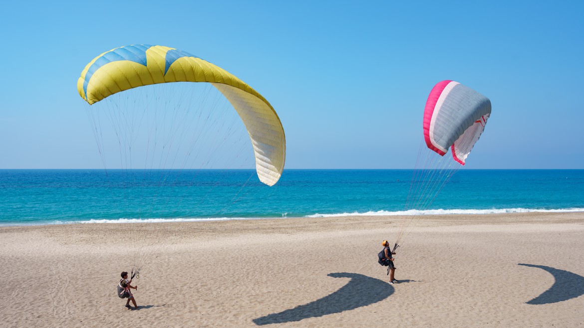 FlyVarkala